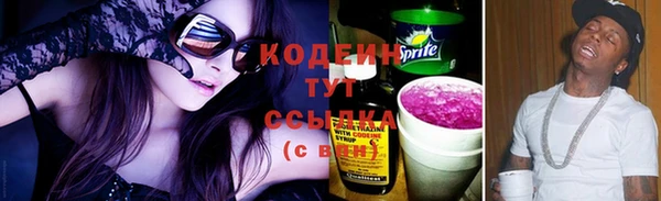 прущие грибы Алзамай