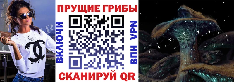 купить наркотик  Лермонтов  Псилоцибиновые грибы мицелий 